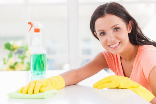 Accessibility-focused Kensal Green Carpet Cleaners website illustration
