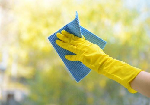 Kensal Green carpet cleaners presenting professional carpet care in a local home