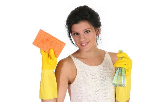 Fresh home after pet stain odour removal service in Kensal Green
