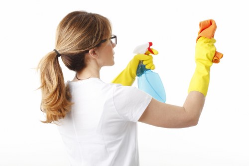Supplier due diligence and audit process for ethical carpet cleaning services