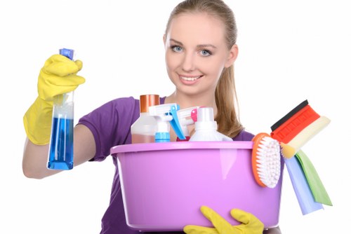 Reporting channels and concern escalation in a carpet cleaning business