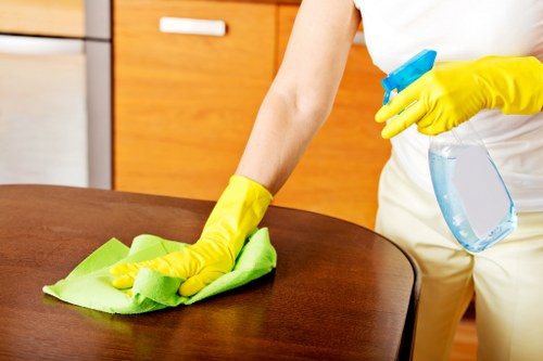 Cleaner assessing carpet condition for a transparent quote