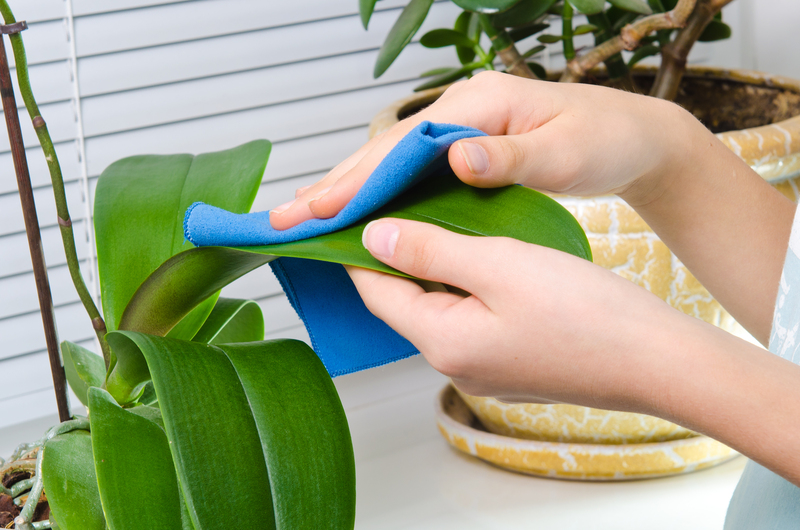 deep cleaning Clean